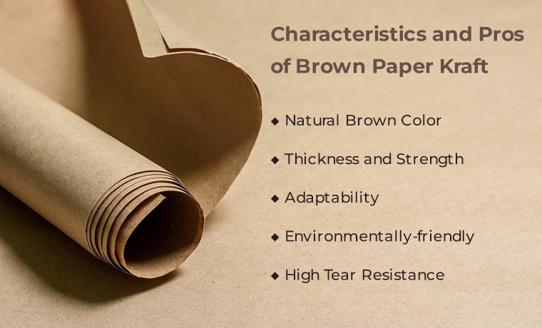 Characteristics of Kraft Paper