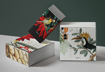 trays and sleeves