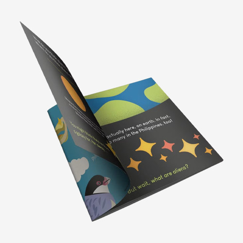 brochure wholesale
