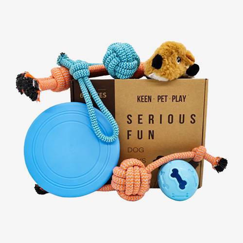 custom dog toy box