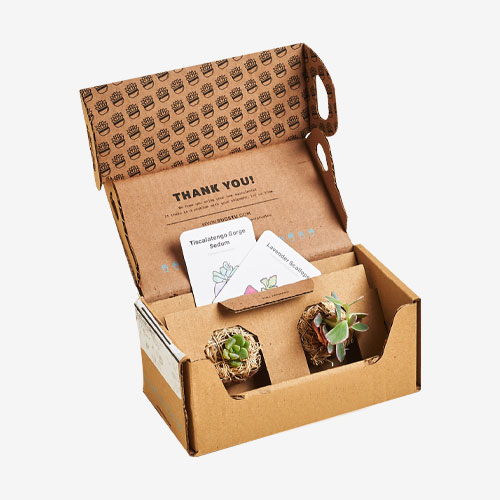 custom ecommerce subscription boxes