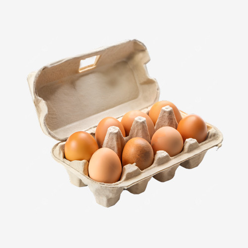 custom printed egg cartons
