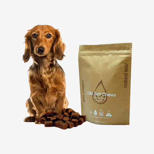 dog food packaging wholesale