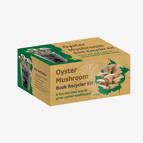 mushroom packaging boxes